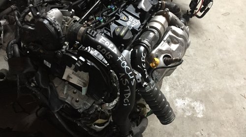 Motor DV5FC 1.5 Tdci Ford Focus 2014