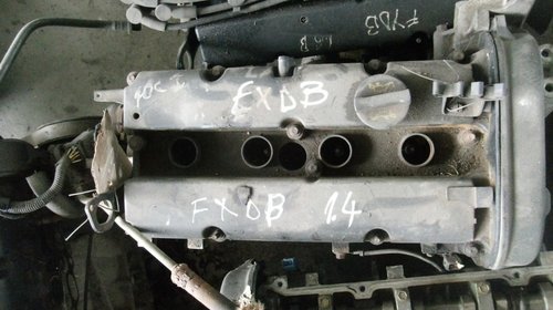 Motor Focus 1 - 1.4 b FXDB