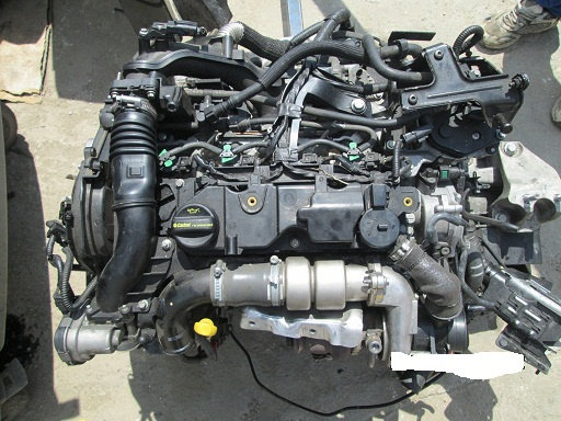 Motor TZJA 1.6 TDCI Ford Fiesta 2012