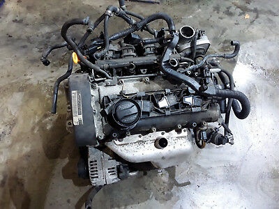 Moderator Persuasion Regularly Motor Vw Polo 1.4 16v 55 kw 75 cp cod motor BBY - #33795212