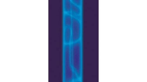 Neon color Plasma Neon-Light PNL-58 12V - 58cm - Albastru LAM73360