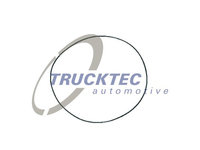 O-ring, camasa cilindru (0167084 TRUCKTEC)