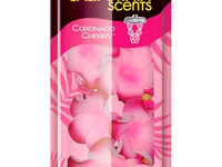 Odorizant California Scents Hanging Paper Lei Shape Auto Aer Freshener Coronado Cherry AMT34-049