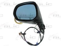 Oglinda exterioara CITROËN C4 Picasso I UD BLIC 5402-21-031361P