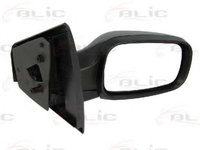 Oglinda exterioara RENAULT CLIO III (BR0/1, CR0/1) (2005 - 2016) BLIC 5402-04-1122175P