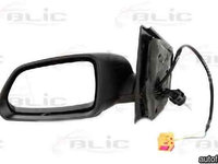 Oglinda exterioara VW POLO (9N_) BLIC 5402-04-1195111