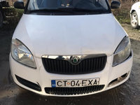 Ornamente parbriz Skoda Fabia 2 an 2007-2013