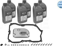 Pachet revizie cutie de viteze automata VW TIGUAN 5N MEYLE 100 135 0107
