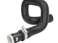 Palnie, filtru de aer FORD FOCUS C-MAX (DM2) THERMOTEC COD: DCG107TT