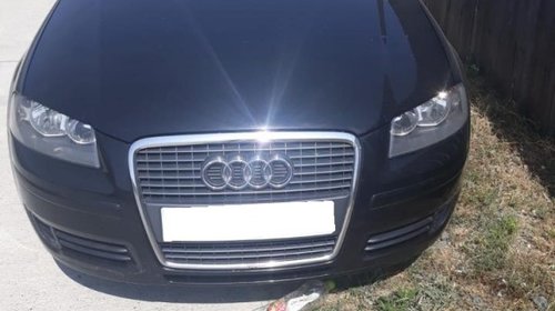 Panou sigurante Audi A3 8P 2006 HATCHBACK 1.6