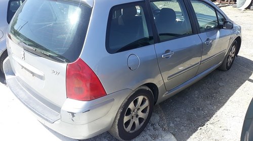 Panou sigurante Peugeot 307 2002 Break 1.6