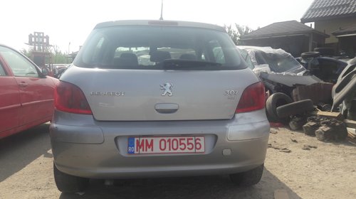 Panou sigurante Peugeot 307 2003 HATCHBACK 2.0 HDI