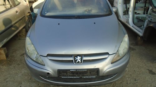 Panou sigurante Peugeot 307 2004 hatchback 2