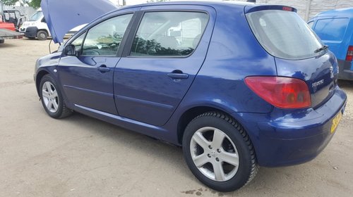 Panou sigurante Peugeot 307 2005 hatchback 1.6HDi