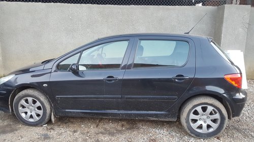 Panou sigurante Peugeot 307 2006 Hatchback 1.4 16 valve