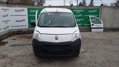 Panou sigurante Renault Kangoo 2012 Minivan 1