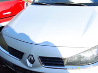 Panou sigurante Renault Laguna 2 2005 sedan 1.9