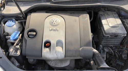 Panou sigurante Volkswagen Golf 5 2007 Hatchback 1.6 FSi