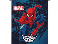 Parasolar Cu Role 1 Unitate 36x45cm Spider Man Amio S9328