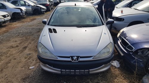 Parbriz Peugeot 206 1999