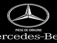 Piese auto Mercedes