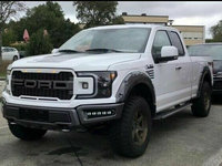 Piese pentru Ford Pick Up F150 Rator 2019