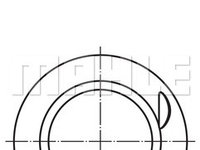 Piston (0220601 MAH) DACIA,NISSAN,RENAULT