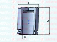 Piston D025302 AUTOFREN SEINSA pentru Honda Legend Honda Accord Nissan Armada Nissan Pathfinder Nissan Camiones Nissan Frontier Nissan Navara