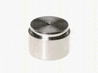 Piston etrier frana 8170 234420 TRISCAN pentru Mercedes-benz Cls Mercedes-benz S-class Bmw Seria 1 Mercedes-benz E-class Vw Touareg Nissan 350 Nissan Fairlady Mercedes-benz Sl Bmw Seria 3 Bmw Seria 2 Bmw Seria 4