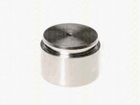 Piston, etrier frana BMW Seria 3 (F30, F35, F80) (2011 - 2016) TRISCAN 8170 234420 piesa NOUA