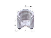 Piston, etrier frana Chrysler 300 M (LR) 1998-2004 #2 150549C