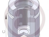 Piston etrier frana D025114 AUTOFREN SEINSA pentru Bmw Seria 5 Bmw Seria 7 Bmw Seria 8 Bmw Seria 3 Bmw Z3 Bmw Z4