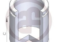 Piston etrier frana D025231 AUTOFREN SEINSA pentru CitroEn Jumper CitroEn Relay Peugeot Boxer Fiat Ducato