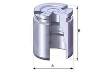 Piston, etrier frana FORD MONDEO IV limuzina (BA7) (2007 - 2020) AUTOFREN SEINSA D02519