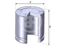 Piston, etrier frana FORD TRANSIT platou / sasiu (FM_ _, FN_ _) (2000 - 2006) AUTOFREN SEINSA D02550