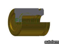 Piston, etrier frana JEEP GRAND CHEROKEE II (WJ, WG) FRENKIT P485204