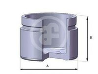 Piston etrier frana NISSAN CABSTAR SEIN D02547