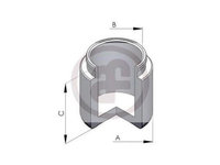 Piston, etrier frana Nissan PATROL GR Mk II autoturism de teren, inchis (Y61) 1997-2016 #2 150585C