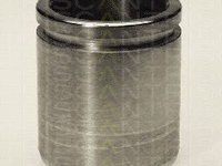 Piston, etrier frana NISSAN TERRANO II Van (R20) (1998 - 2007) TRISCAN 8170 234331