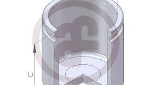 Piston, etrier frana punte fata IVECO DAILY I