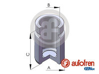 Piston, etrier frana puntea spate (D025617 AUT) BMW