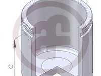 Piston, etrier frana RENAULT KANGOO Express (FC0/1) (1997 - 2007) AUTOFREN SEINSA D02565 piesa NOUA