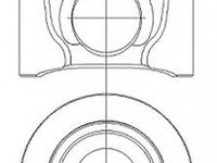 Piston IVECO Stralis NURAL 8742800000