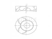 Piston motor Renault KANGOO (KC0/1_) 1997-2016 #2 0220100