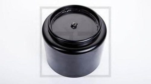 Piston perna de aer - PE Automotive 040.094-0