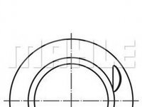 Piston RENAULT SYMBOL II LU1 2 MAHLE ORIGINAL 0220600