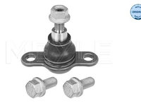 Pivot 1160100043 MEYLE pentru Vw Crafter Man Tge