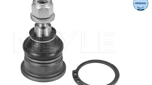 Pivot 16-16 010 0002 MEYLE pentru Renault Cli