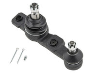 PIVOT BASCULA FATA LEXUS IS250/350 GSE20 05- /FATA, INFERIOR, DREAPTA/