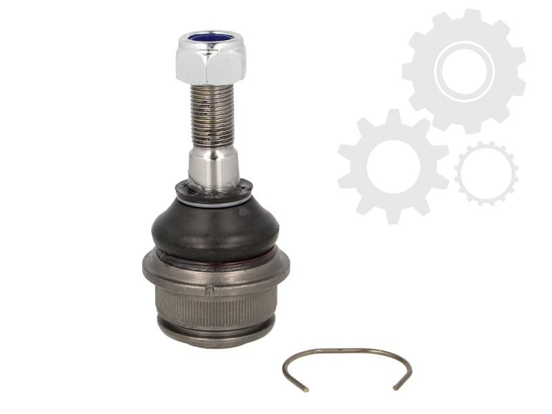 Pivot bascula sus delphi pt vw transporter 4